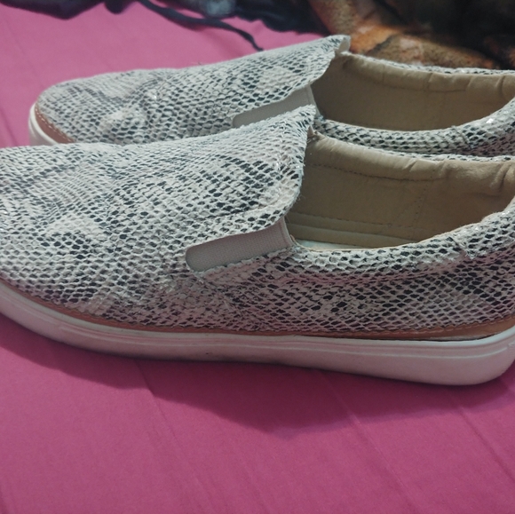CCocci snake print loafers size 9 - Picture 2 of 3